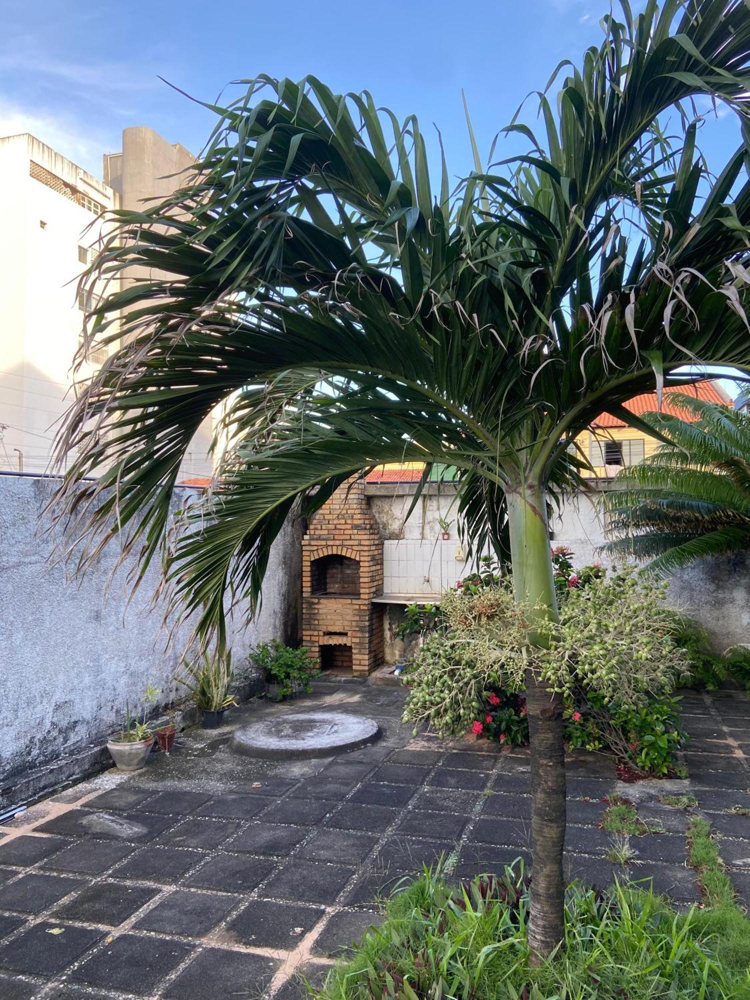 Apto Exclusivo, 200M Da Praia, Horario Flexivel 24 Horas Fortaleza  Exteriér fotografie